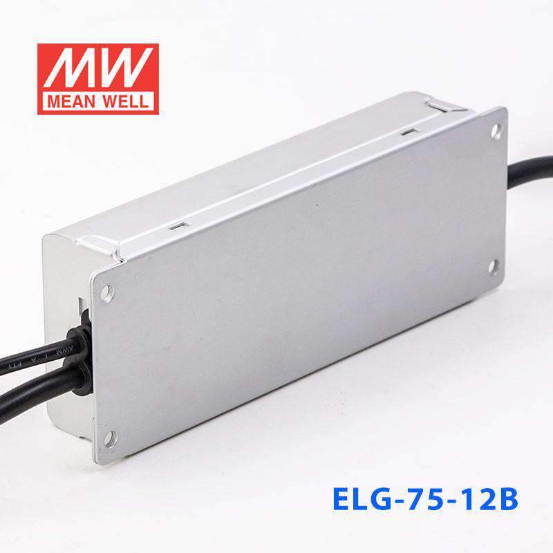 Mean Well ELG-75-12B Power Supply 60W 12V - Dimmable - PHOTO 4