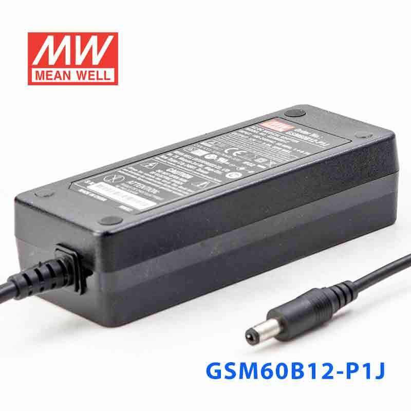 Mean Well GSM60B12-P1J Power Supply 54W 12V - PHOTO 1
