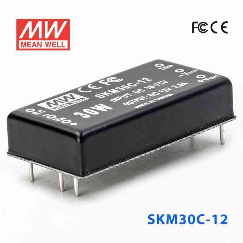 Mean Well SKM30C-12 DC-DC Converter - 30W - 36~75V in 12V out 2.5A