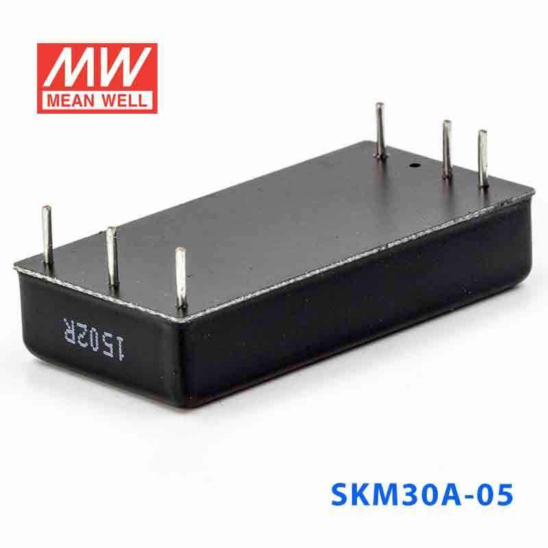 Mean Well SKM30A-05 DC-DC Converter - 30W - 9~18V in 5V out 6A - PHOTO 3