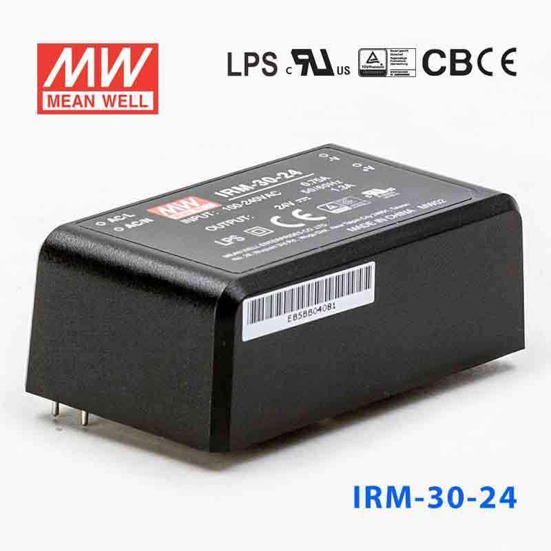 Mean Well IRM-30-24 Switching Power Supply 3W 24V 1.3A - Encapsulated