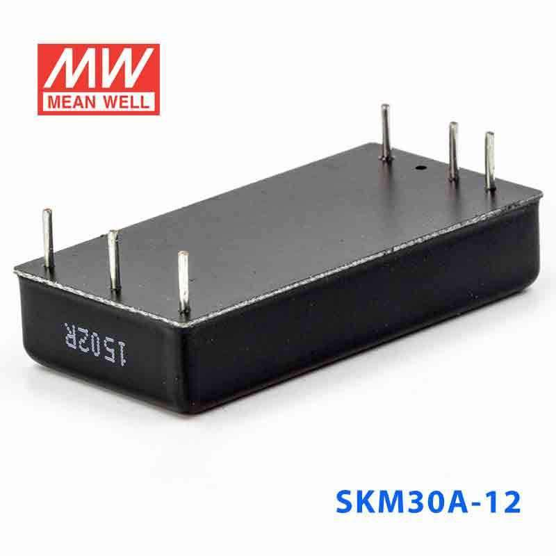 Mean Well SKM30A-12 DC-DC Converter - 30W - 9~18V in 12V out 2.5A - PHOTO 3