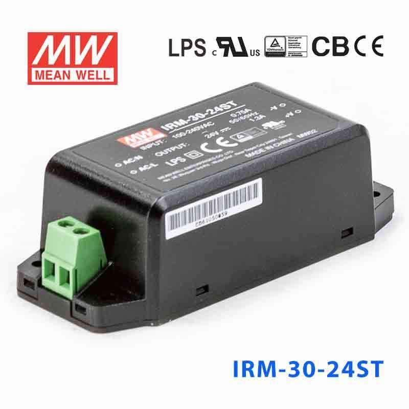Mean Well IRM-30-24ST Switching Power Supply 30W 24V 1.3A - Encapsulated