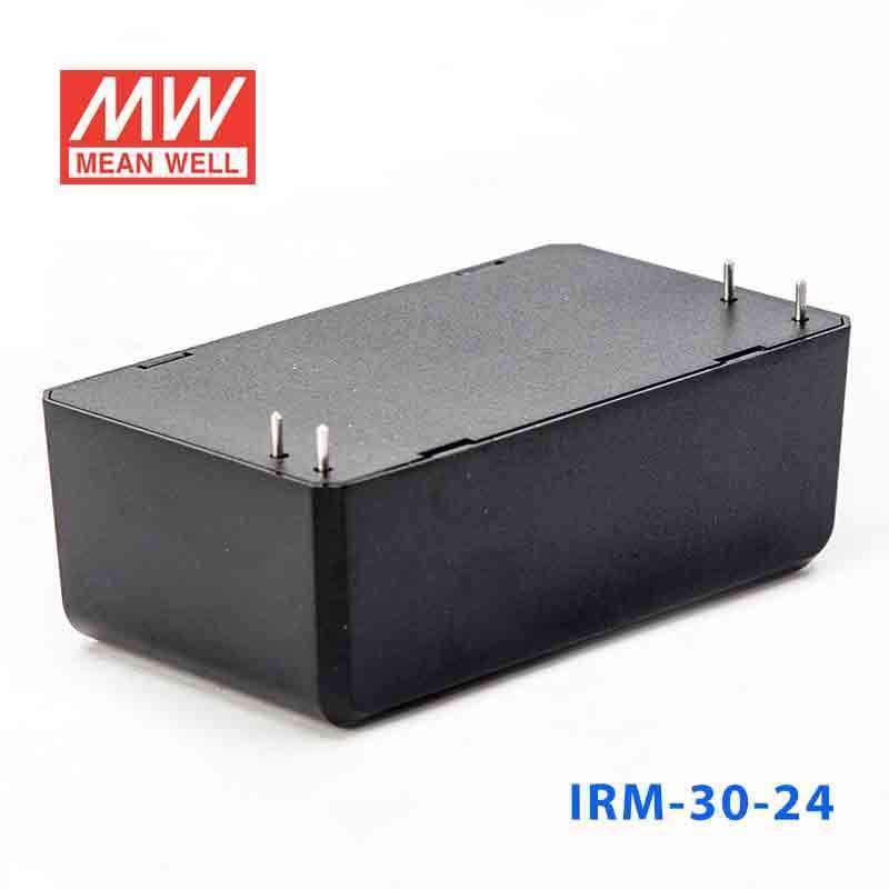 Mean Well IRM-30-24 Switching Power Supply 3W 24V 1.3A - Encapsulated - PHOTO 3