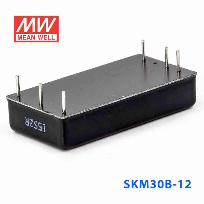 Mean Well SKM30B-12 DC-DC Converter - 30W - 18~36V in 12V out 2.5A - PHOTO 3