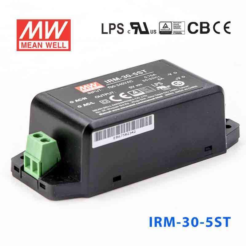 Mean Well IRM-30-5ST Switching Power Supply 3W 5V 6A - Encapsulated