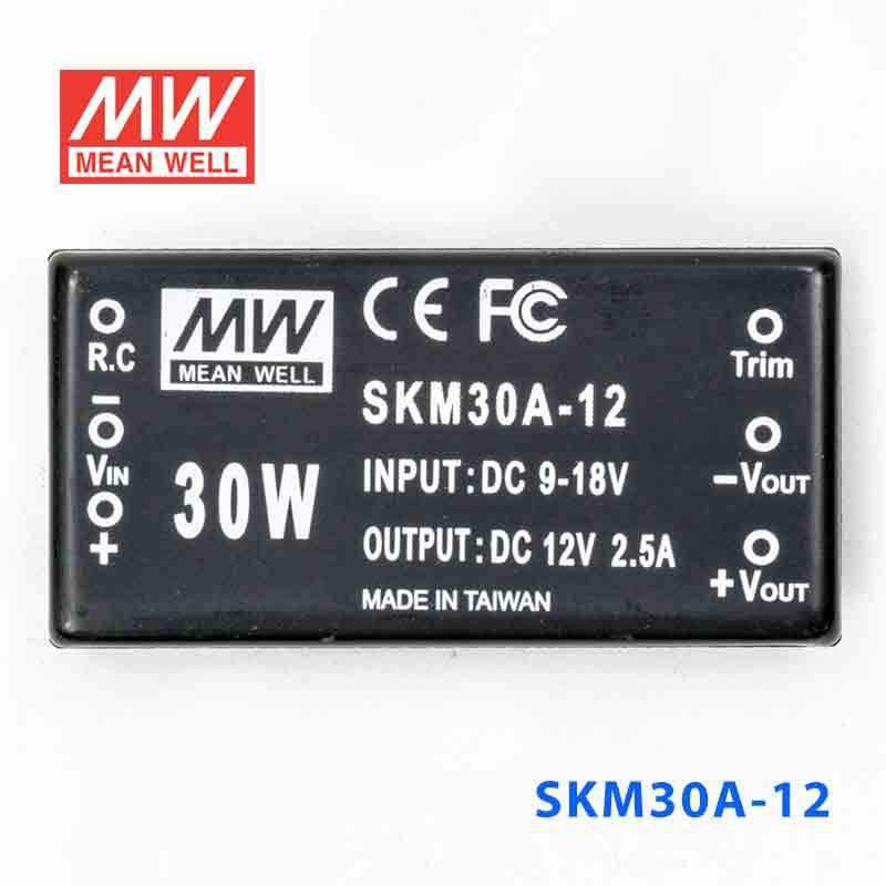 Mean Well SKM30A-12 DC-DC Converter - 30W - 9~18V in 12V out 2.5A - PHOTO 2