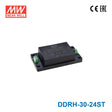 Mean Well DDRH-30-24ST Ultra Wide Input DC-DC Converter, 30W 24V, Screw Terminal Type