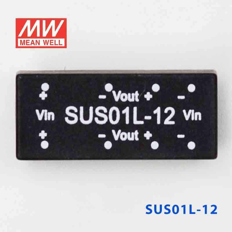 Mean Well SUS01L-12 DC-DC Converter - 1W - 4.5~5.5V in 12V out - PHOTO 2