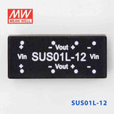 Mean Well SUS01L-12 DC-DC Converter - 1W - 4.5~5.5V in 12V out - PHOTO 2