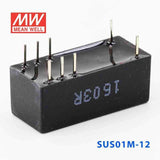 Mean Well SUS01M-12 DC-DC Converter - 1W - 10.8~13.2V in 12V out - PHOTO 3