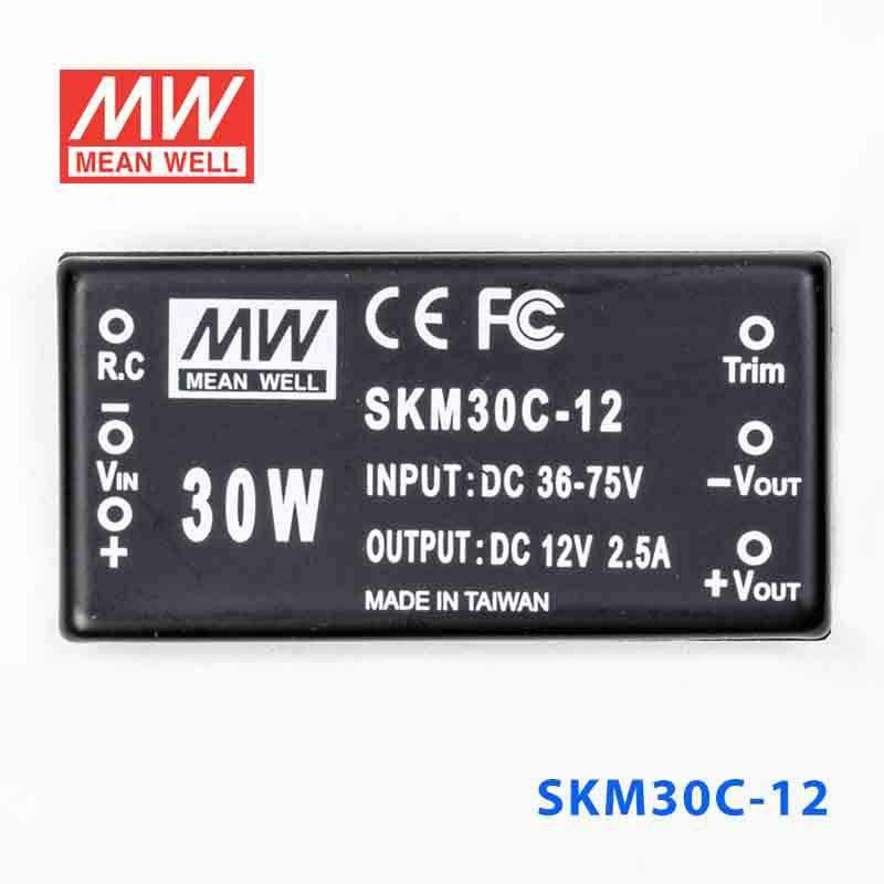 Mean Well SKM30C-12 DC-DC Converter - 30W - 36~75V in 12V out - PHOTO 2