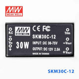 Mean Well SKM30C-12 DC-DC Converter - 30W - 36~75V in 12V out - PHOTO 2