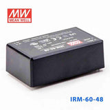 Mean Well IRM-60-48 Switching Power Supply 60W 48V 1.25A - Encapsulated - PHOTO 1