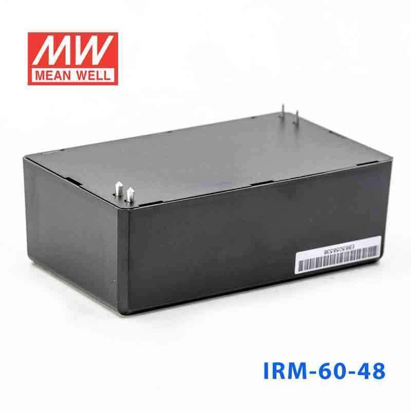 Mean Well IRM-60-48 Switching Power Supply 60W 48V 1.25A - Encapsulated - PHOTO 3