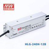 Mean Well HLG-240H-12B Power Supply 192W 12V - Dimmable - PHOTO 1