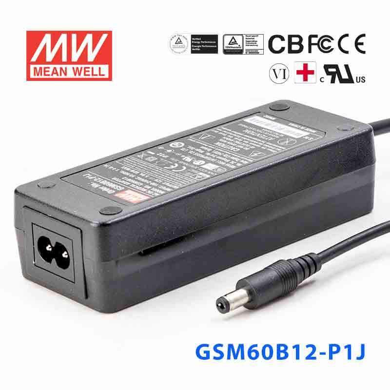 Mean Well GSM60B12-P1J  Power Supply 54W 12V