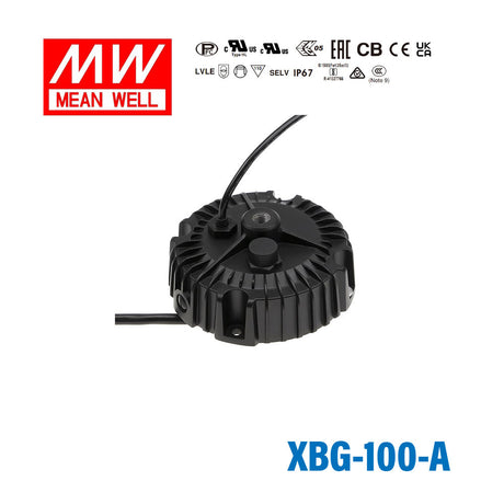 Mean Well XBG-100-A Power Supply 100W - Adjustable