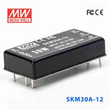 Mean Well SKM30A-12 DC-DC Converter - 30W - 9~18V in 12V out 2.5A
