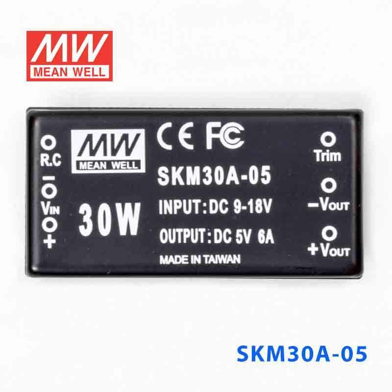 Mean Well SKM30A-05 DC-DC Converter - 30W - 9~18V in 5V out 6A - PHOTO 2