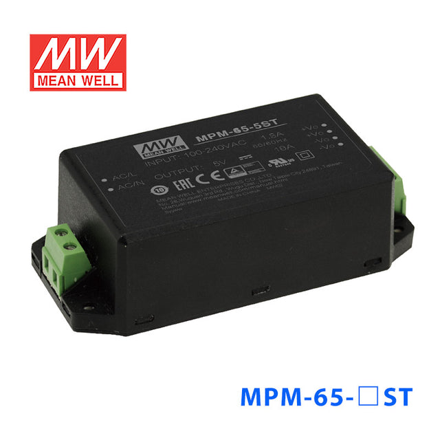 Mean Well MPM-65-15ST Power Supply 65W 15V