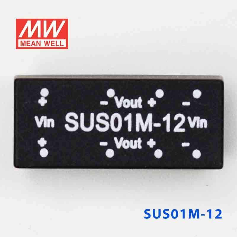 Mean Well SUS01M-12 DC-DC Converter - 1W - 10.8~13.2V in 12V out - PHOTO 2