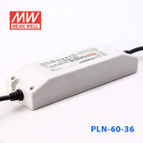 Mean Well PLN-60-36 Power Supply 60W 36V - IP64 1.7A - PHOTO 3