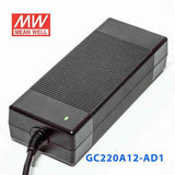 Mean Well GC220A12-AD1 Portable Chargers 183.6W 13.6V 13.5A - Green Adaptor - PHOTO 4