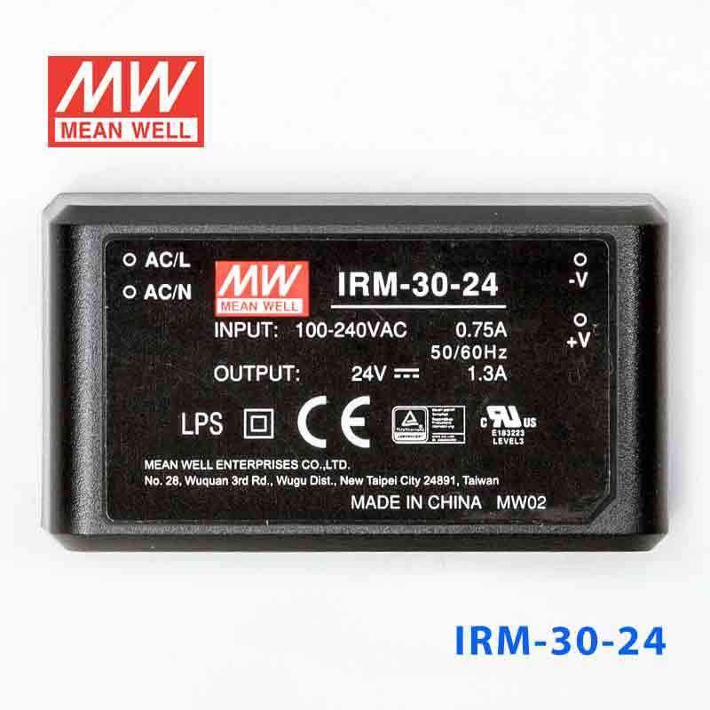Mean Well IRM-30-24 Switching Power Supply 3W 24V 1.3A - Encapsulated - PHOTO 2