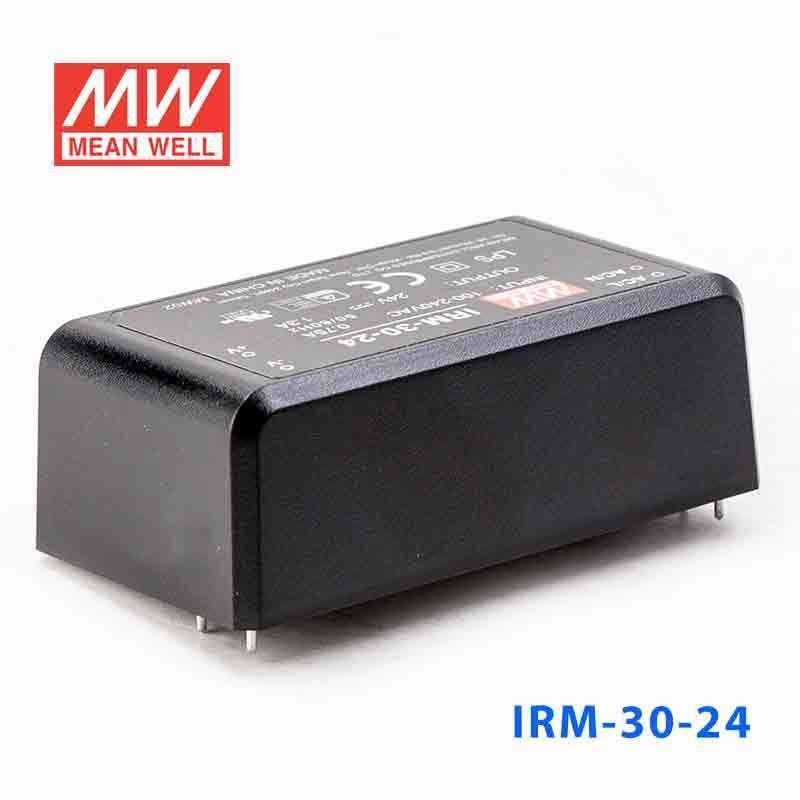 Mean Well IRM-30-24 Switching Power Supply 3W 24V 1.3A - Encapsulated - PHOTO 1