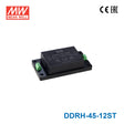 Mean Well DDRH-45-12ST Ultra Wide Input DC-DC Converter, 45W 12V, Screw Terminal Type